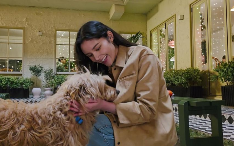 智启未来：三星Galaxy S25系列重新定义AI移动终端