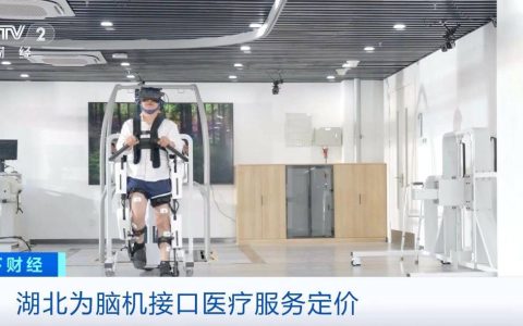 前沿科技步入民生领域“提速”！湖北为脑机接口医疗服务定价