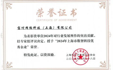 宝付支付荣获“2024年上海市数智科技优秀企业”