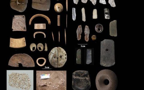 西藏考古新成果实证中华文明多元一体