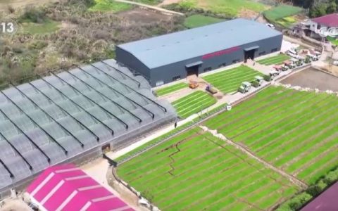 各地按下春耕春管“科技键” 希望的田野上“苗”绘丰收图景