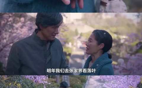 第一批韩国人已经来张家界踏青了！游客喊话张艺兴：你的家乡太棒了