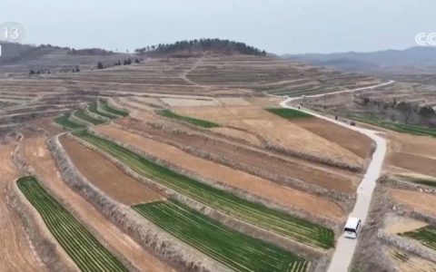 “量体裁衣”种好地 全方位服务直达田间地头夯实增收基础