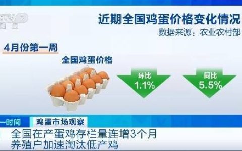 蛋价已连降5周 专家研判后期走势→