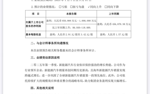 一天净赚近1亿 国内车企第一！比亚迪预计一季度净利润85至100亿元