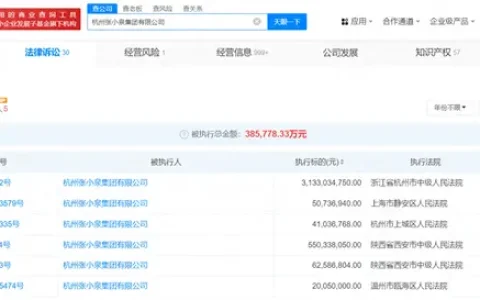 张小泉集团及法人等被执行31.3亿，已被限制高消费