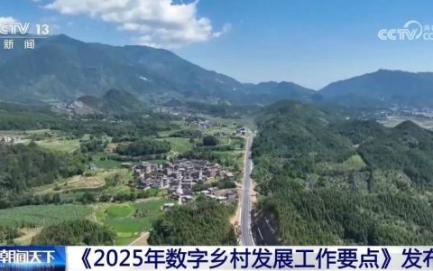 四部门印发《2025年数字乡村发展工作要点》