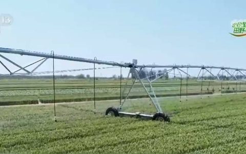 从 “靠天收” 到 “靠智管” 智慧田管新模式护航田野好“丰”光