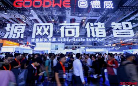 “源网荷储智”生态绽放，固德威2025SNEC领航智慧能源新时代