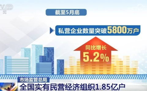 数说私营企业与个体工商户成为推动民营经济稳健前行“双引擎”