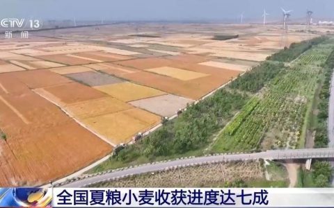 机损率仅0.5% 每亩多赚15元 科技助力夏收创造良性循环