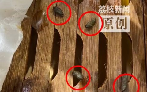 吃到最后发现“老鼠屎”？杭州著名老字号回应