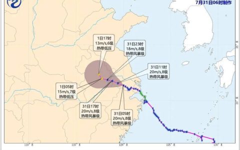 “竹节草”到哪了？上海发布大风蓝色预警，高温即将重启