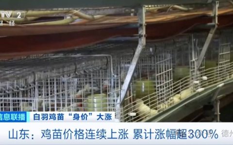 暴涨300%，供不应求！