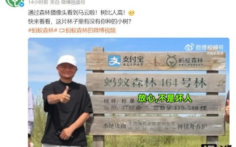 马云时隔六年再次探访蚂蚁森林，和树比高