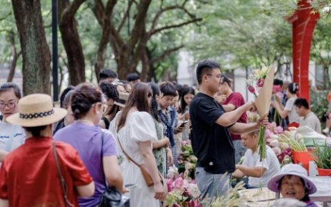 央视报道：苏州金龙海格蔚蓝公交“荷花专线”火出圈！