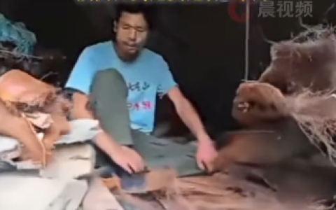 荒野求生决赛剩4名选手 网红抖哥开始准备“地暖”：秋冬会用到 预计决赛还要3个月