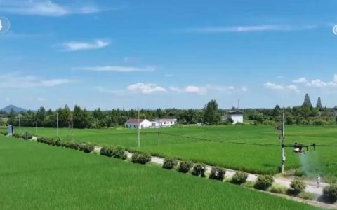 新动能加速壮大，产业升级亮点纷呈：8月经济数据勾勒国民经济稳进图景