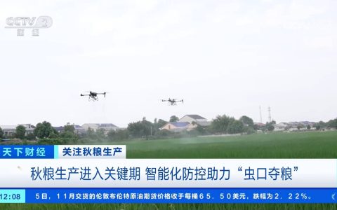 秋粮生产进入关键期 南方水稻产区精准高效推进防控力保秋粮丰收