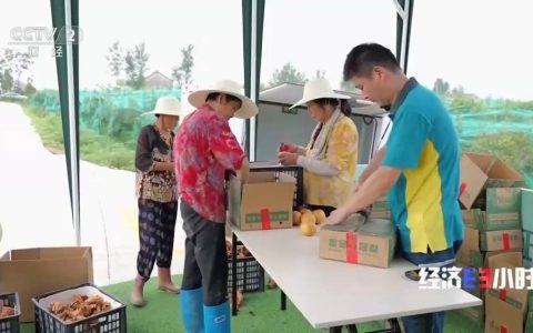 发展跑出加速度 在冷链物流中看全国统一大市场