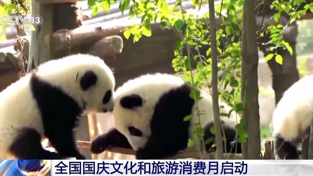 4.8亿元补贴来了！全国国庆文化和旅游消费月启动