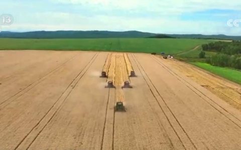 “科学化管理+技术创新”助力增产增效 希望的田野处处好“丰”光