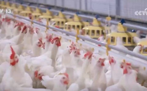 我国绿色农产品供给能力稳步增强 “绿色优质”成为普惠民生常态