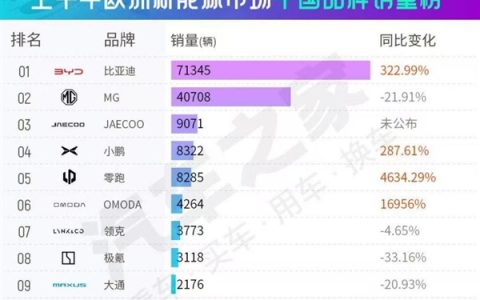 同比暴涨超300%！比亚迪拿下欧洲新能源中国车企第一