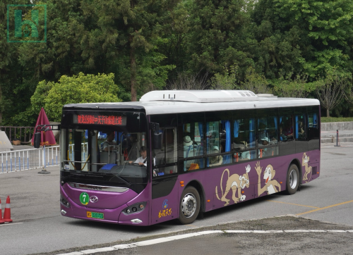 圆满护航双节出行！苏州金龙海格客车见证文旅复苏活力画卷