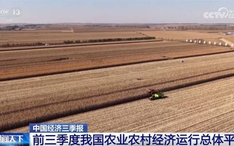 透过数据看前三季度“三农”成绩单 为经济社会高质量发展提供有力支撑