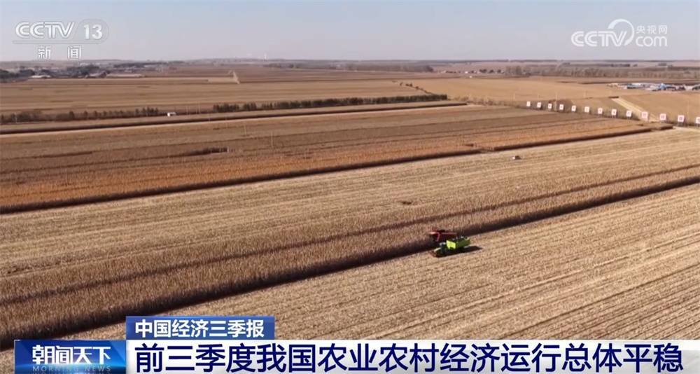 透过数据看前三季度“三农”成绩单 为经济社会高质量发展提供有力支撑
