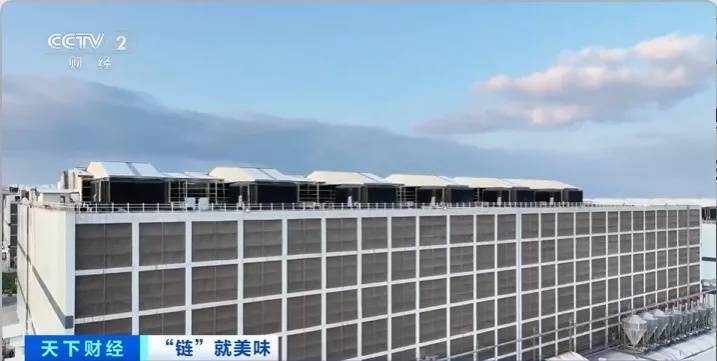 飙升300%！河南名吃，一天狂卖超千份→