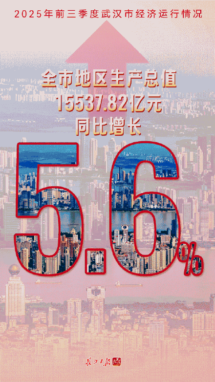 武汉2025年前三季度GDP公布