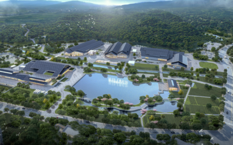 政策引领茶产业升级，公元股份护航茶乡高质量发展