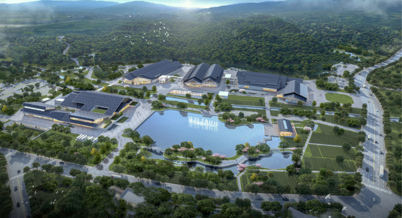 政策引领茶产业升级，公元股份护航茶乡高质量发展