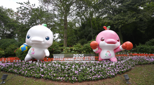 擎动湾区，共襄盛举！超200台苏州金龙海格客车护航第十五届全运会