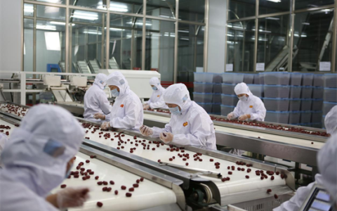 以需求为根 以创新为魂 好想你深耕健康赛道的产品迭代之路