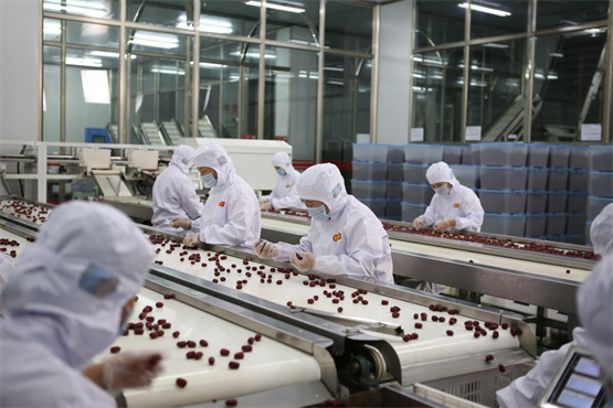 以需求为根 以创新为魂 好想你深耕健康赛道的产品迭代之路