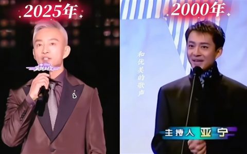 “前央视最帅主持”亚宁重回舞台：56岁满头白发 已是大厂高管