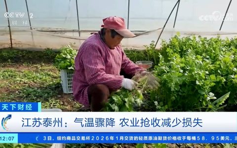 各地积极应对寒潮天气 保障生产生活平稳有序