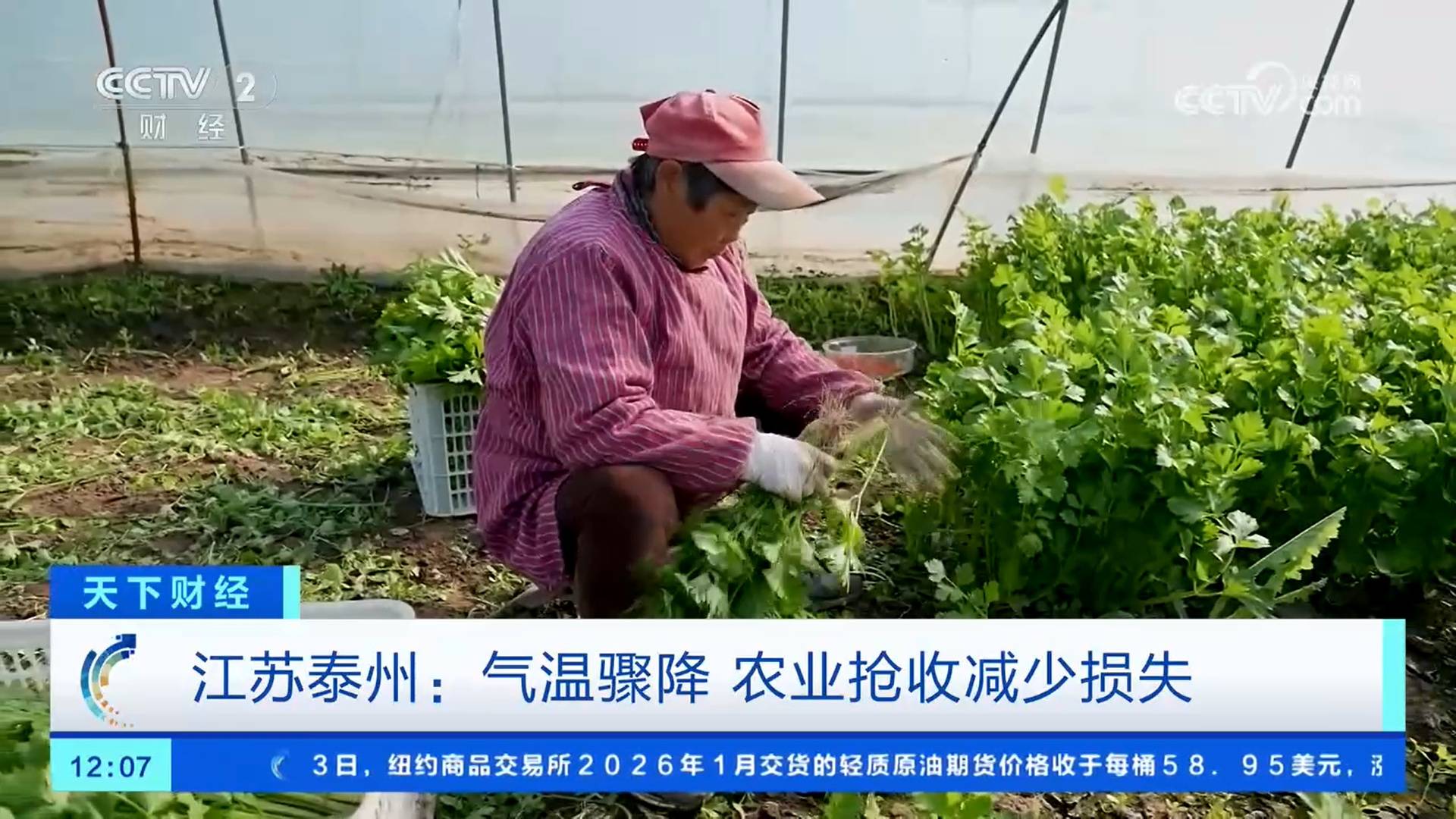 各地积极应对寒潮天气 保障生产生活平稳有序