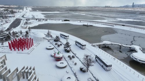 品质与智慧双驱动！苏州金龙助力星龙客运打造烟台客旅融合新范式