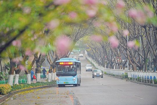 小公交大民生!苏州金龙微巴持续加码重庆“幸福出行”最后一公里插图2 小公交大民生!苏州金龙微巴持续加码重庆“幸福出行”最后一公里
