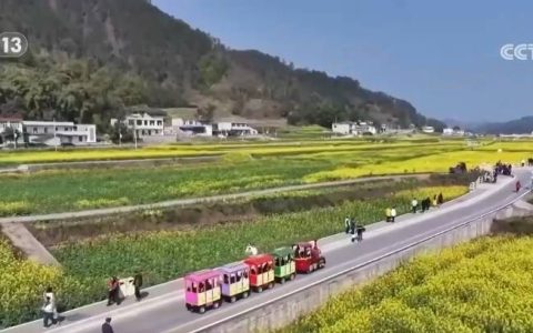 春节错月叠加消费需求恢复 2月份CPI同比、环比涨幅均扩大