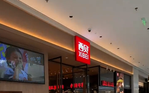 胡锡进谈西贝倒闭传闻：缠斗中把流量都送给罗永浩 损失都自己背了
