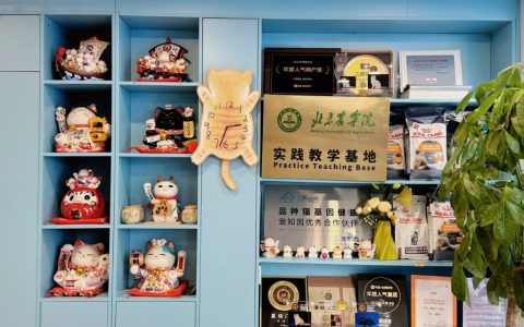 2026北京猫舍品牌综合实力排行榜